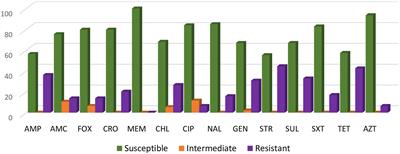 Antimicrobial resistance and genomic characterization of Salmonella enterica serovar Senftenberg isolates in production animals from the United States